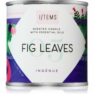 I/TEMS Artist Collection 05 / Fig Leaves vonná sviečka 100 g vyobraziť