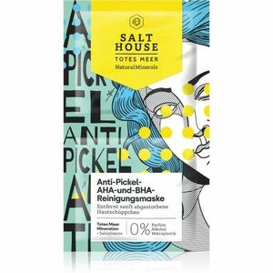 Salt House Natural Minerals Anti-pimple AHA and BHA Cleansing Mask čistiaca maska 2x6 ml vyobraziť