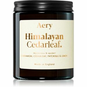 Aery Fernweh Himalyan Cedarleaf vonná sviečka 140 g vyobraziť