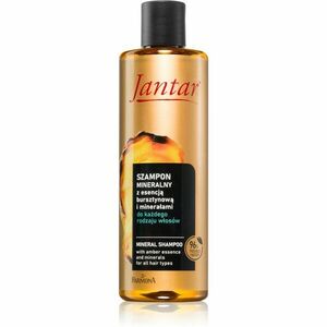 Farmona Jantar Amber Essence minerálny šampón pre všetky typy vlasov 300 ml vyobraziť