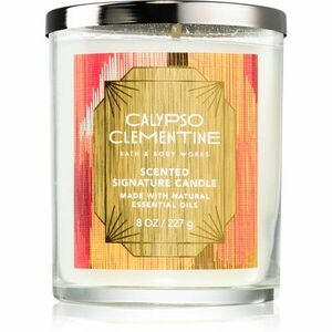 Bath & Body Works Calypso Clementine vonná sviečka 227 g vyobraziť
