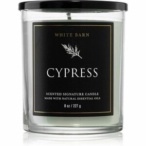 Bath & Body Works Cypress vonná sviečka 227 g vyobraziť