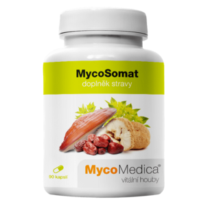 MYCOMEDICA MycoSomat vegán 90 kapsúl vyobraziť