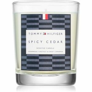 Tommy Hilfiger Home Collection Spicy Cedar Sviečka 180 g vyobraziť