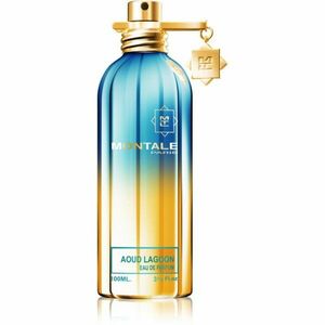 Montale Aoud Lagoon parfumovaná voda unisex 100 ml vyobraziť