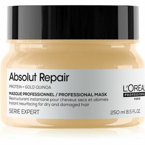 L’Oréal Professionnel Serie Expert Absolut Repair hlboko regeneračná maska pre suché a poškodené vlasy 250 ml vyobraziť