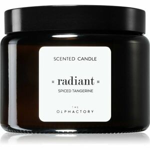 Ambientair The Olphactory Spiced Tangerine vonná sviečka Radiant 360 g vyobraziť