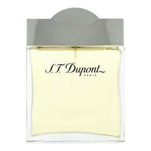 S.T. Dupont S.T. Dupont for Men toaletná voda pre mužov 100 ml vyobraziť