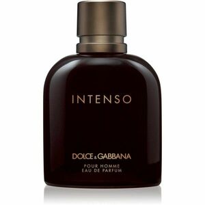 Dolce&Gabbana Pour Homme Intenso parfumovaná voda pre mužov 200 ml vyobraziť