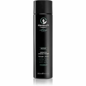 Paul Mitchell Awapuhi Wild Ginger vyživujúci kondicionér pre všetky typy vlasov 250 ml vyobraziť