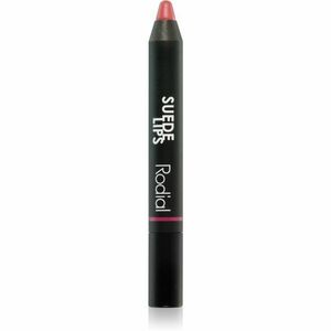 Rodial Suede Lips matný rúž v ceruzke odtieň Black Berry 2, 4 g vyobraziť