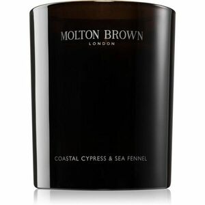 Molton Brown Coastal Cypress & Sea Fennel vonná sviečka s morskými extraktmi a esenciálnymi olejmi 190 g vyobraziť