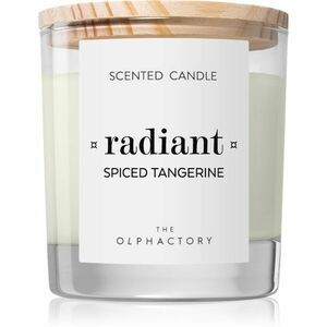 Ambientair The Olphactory Spiced Tangerine vonná sviečka Radiant 200 g vyobraziť