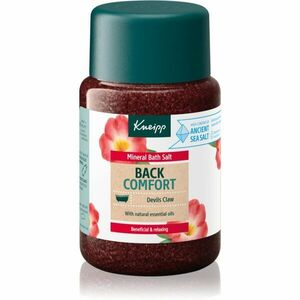 Kneipp Back Comfort soľ do kúpeľa 500 g vyobraziť