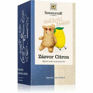 SONNENTOR Ginger Lemon BIO bylinný čaj dvojkomorové vrecúško 18x1, 8 g vyobraziť