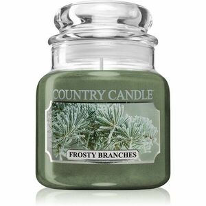 Country Candle Frosty Branches vonná sviečka 104 g vyobraziť