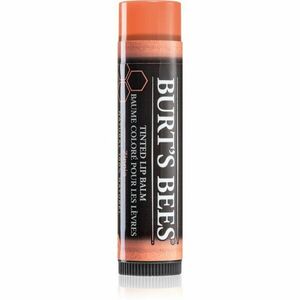 Burt’s Bees Tinted Lip Balm balzam na pery odtieň Zinnia 4.25 g vyobraziť