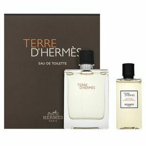 Hermès Terre d'Hermès toaletná voda pre mužov 100 ml vyobraziť