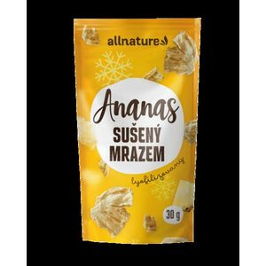 ALLNATURE Ananás sušený mrazom kúsky 30 g vyobraziť