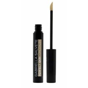 GABRIELLA SALVETE Perfect Skin Concealer 01, 6.2 ml vyobraziť