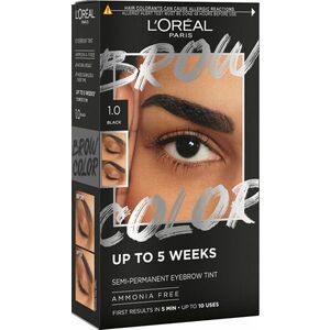 L'ORÉAL PARIS Brow Color 1.0 Black semi-permanentná farba na obočie vyobraziť