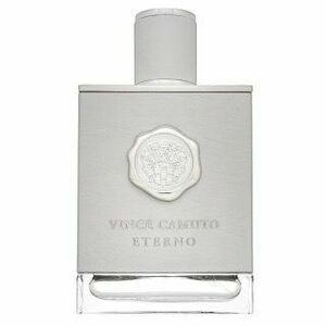 Vince Camuto Eterno toaletná voda pre mužov 100 ml vyobraziť