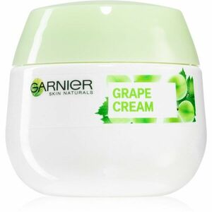 Garnier Botanical hydratačný krém pre normálnu až zmiešanú pleť 50 ml vyobraziť