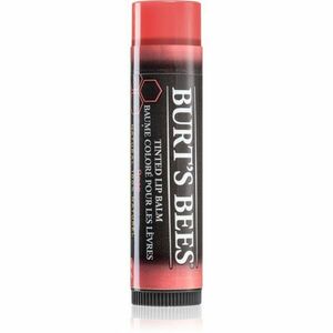 Burt’s Bees Tinted Lip Balm balzam na pery odtieň Rose 4.25 g vyobraziť