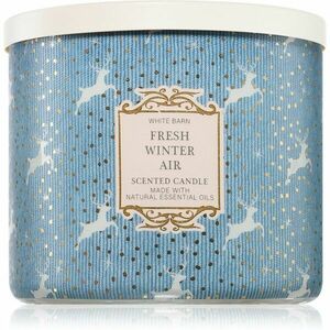 Bath & Body Works Fresh Winter Air vonná sviečka 411 g vyobraziť