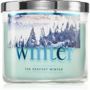 Bath & Body Works The Perfect Winter vonná sviečka 411 g vyobraziť