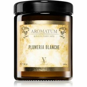 Vila Hermanos Aromatum Plumeria Blanche vonná sviečka 180 g vyobraziť